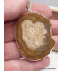 Gros pendentif en Bois Pétrifié fossilisé Pendentifs pierres naturelles AW34.4