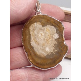 Gros pendentif en Bois Pétrifié fossilisé Pendentifs pierres naturelles AW34.4