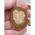 Gros pendentif en Bois Pétrifié fossilisé Pendentifs pierres naturelles AW34.4