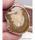 Gros pendentif en Bois Pétrifié fossilisé Pendentifs pierres naturelles AW34.4