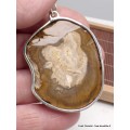 Gros pendentif en Bois Pétrifié fossilisé Pendentifs pierres naturelles AW34.4