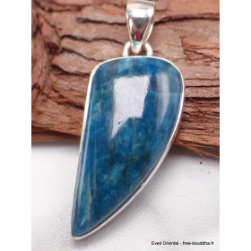 Pendentif Apatite bleue forme libre Bijoux en Apatite bleue AW50.4