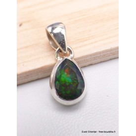 Pendentif Opale noire du Chili forme goutte Pendentifs pierres naturelles AW51.3