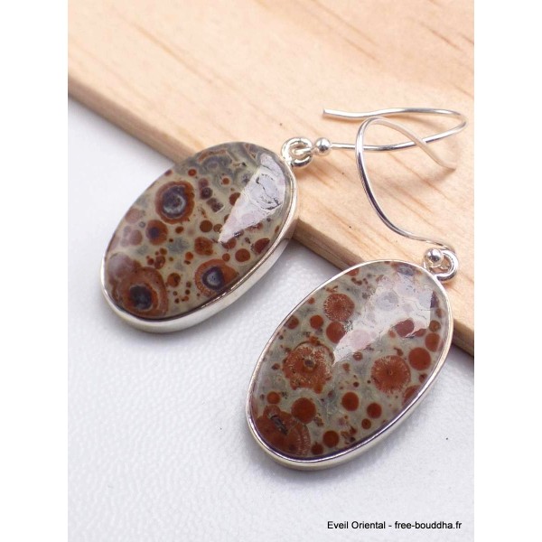 Boucles d'oreilles pendantes Jaspe Astéroïde Bijoux en Jaspe AW97