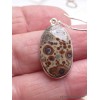 Boucles d'oreilles pendantes Jaspe Astéroïde Bijoux en Jaspe AW97