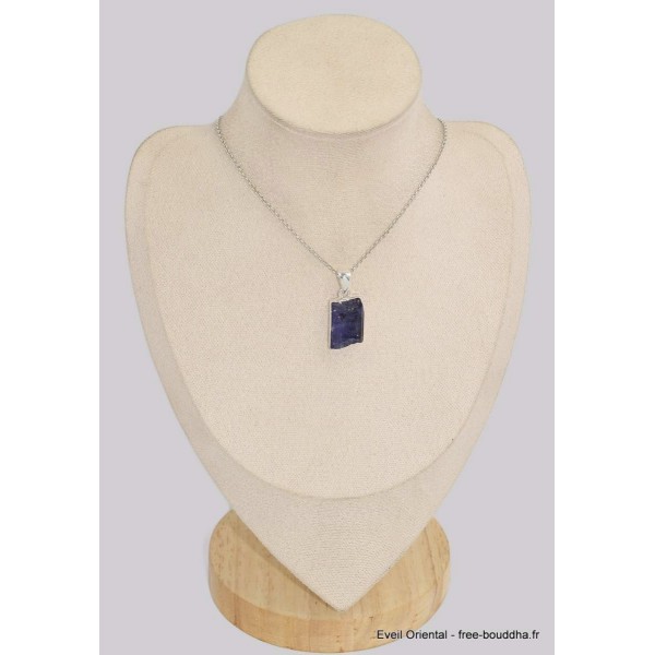 Pendentif en Tanzanite brute forme libre Pendentifs pierres naturelles BK23