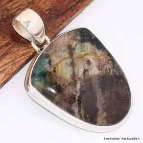Pendentif Bois pétrifié de Colla brun turquoise - Pendentifs pierres naturelles