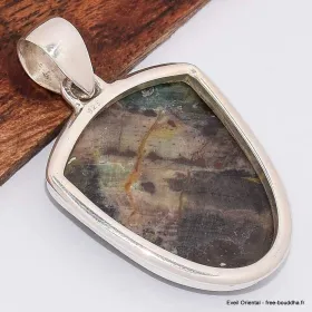 Pendentif Bois pétrifié de Colla brun turquoise - Pendentifs pierres naturelles