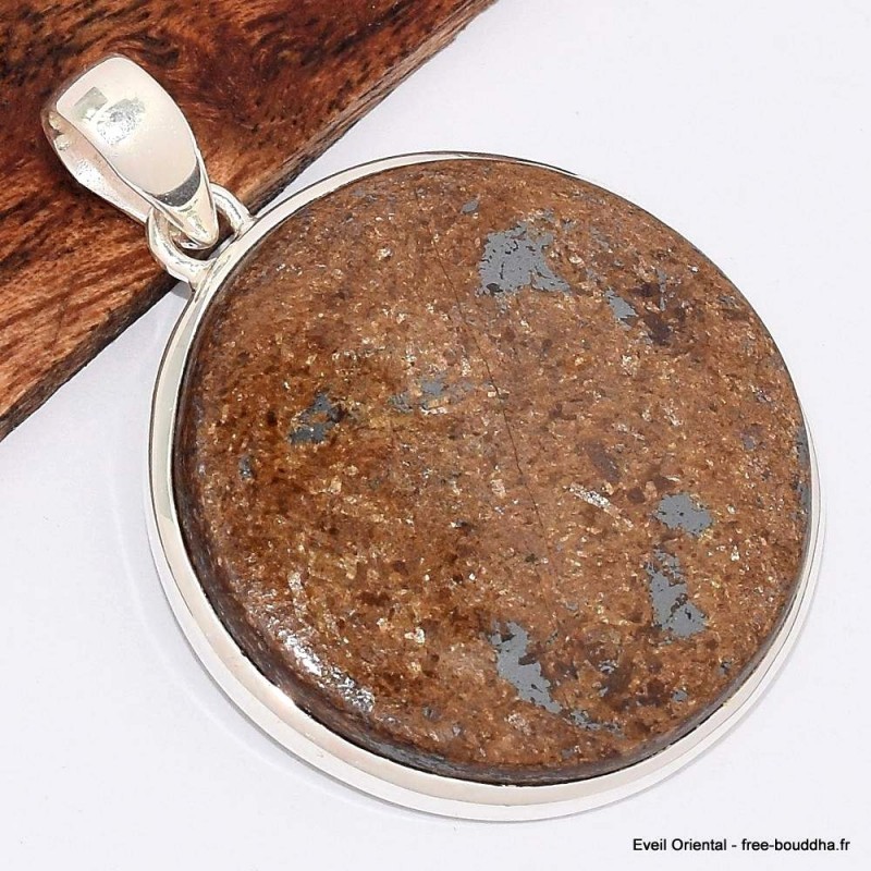 Gros pendentif rond en Bronzite 