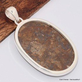 Gros pendentif oval en Bronzite 