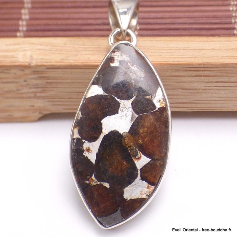 Pendentif en Pallasite (météorite) asymétrique Bijoux en Pallasite CWA55.3