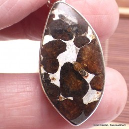 Pendentif en Pallasite (météorite) asymétrique Bijoux en Pallasite CWA55.3