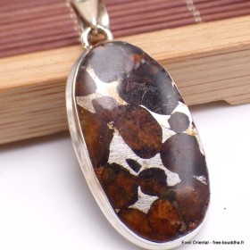 Gros Pendentif Authentique Pallasite forme ovale Bijoux en Pallasite CWA55.4