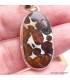 Gros Pendentif Authentique Pallasite forme ovale Bijoux en Pallasite CWA55.4