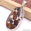 Gros Pendentif Authentique Pallasite forme ovale Bijoux en Pallasite CWA55.4