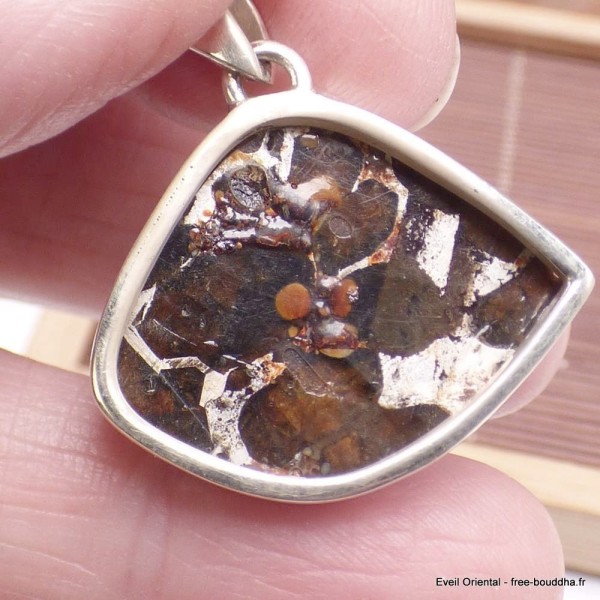 Authentique Météorite Pallasite forme libre Pendentifs pierres naturelles CWA55.5