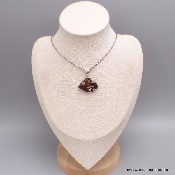 Authentique Météorite Pallasite forme libre Pendentifs pierres naturelles CWA55.5