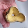 Kapala bouddhiste en laiton petit modèle 9 cm Kapala bouddhiste KAP2