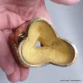 Kapala bouddhiste en laiton petit modèle 9 cm - Kapala bouddhiste