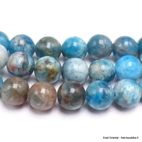 Mala tibétain authentique en Apatite bleue - Mala tibétain 108 perles