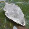 Pendentif Cristal Lémurien serti griffes Bijoux en Quartz Lémurien KC21.3