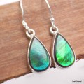 Boucles d'oreilles Ammolite verte grade AAA Bijoux en Ammolite KC114