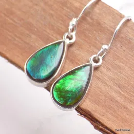 Boucles d'oreilles Ammolite verte grade AAA - Bijoux en Ammolite