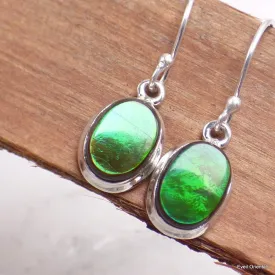 Boucles d'oreilles ovales Ammolite verte grade AAA - Bijoux en Ammolite