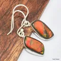 Boucles d'oreilles Ammolite orange grade AAA - Boucles d'oreilles en pierres naturelles