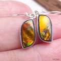 Boucles d'oreilles Ammolite orange grade AAA Bijoux en Ammolite KC114.2