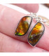Boucles d'oreilles Ammolite orange grade AAA Bijoux en Ammolite KC114.2
