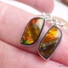 Boucles d'oreilles Ammolite orange grade AAA Bijoux en Ammolite KC114.2