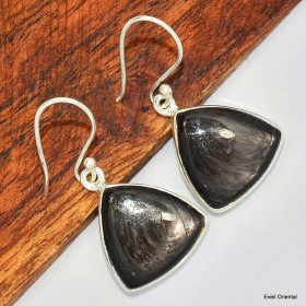 Boucles d'oreilles triangulaires en Hypersthene Boucles d'oreilles en pierres KC117.2