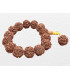 Bracelet mala en grosses Graines de Rudraksha Bracelet Mala tibétain BMPR