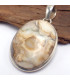 Pendentif argent Jaspe Brun Pendentifs pierres naturelles f6.2