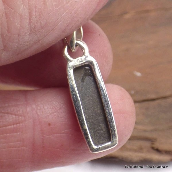 Pendentif allongé Ammolite du Canada qualité AAA Bijoux en Ammolite AW21