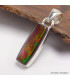 Pendentif allongé Ammolite du Canada qualité AAA Bijoux en Ammolite AW21