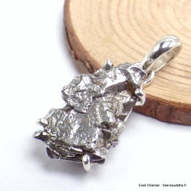 Pendentif Campo del Cielo Pendentifs pierres naturelles CWA67.1