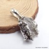 Pendentif Campo del Cielo - 5 Pendentifs pierres naturelles CWA67.5