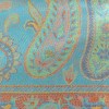 Châle turquoise rouille soie naturelle Tous les pashminas CSS92