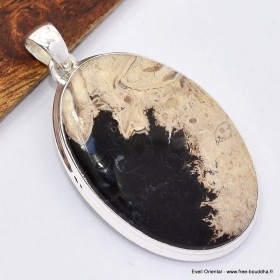 Gros pendentif en bois fossilisé Pendentifs pierres naturelles SK11