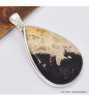 Gros pendentif goutte en bois pétrifié Pendentifs pierres naturelles SK11.1