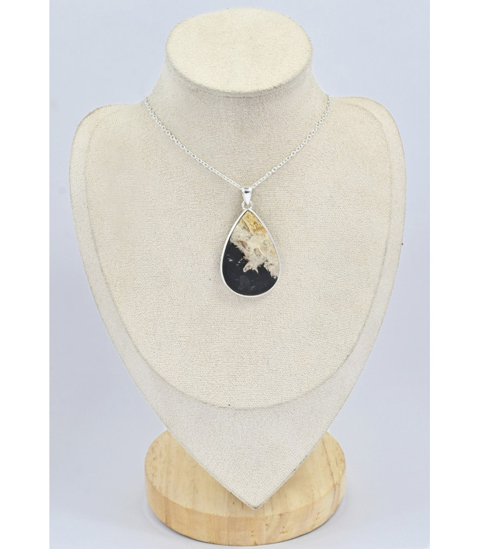 Gros pendentif goutte en bois pétrifié Pendentifs pierres naturelles SK11.1