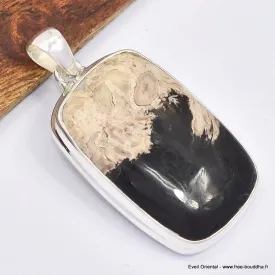 Gros pendentif rectangulaire en bois pétrifié - Pendentifs pierres naturelles