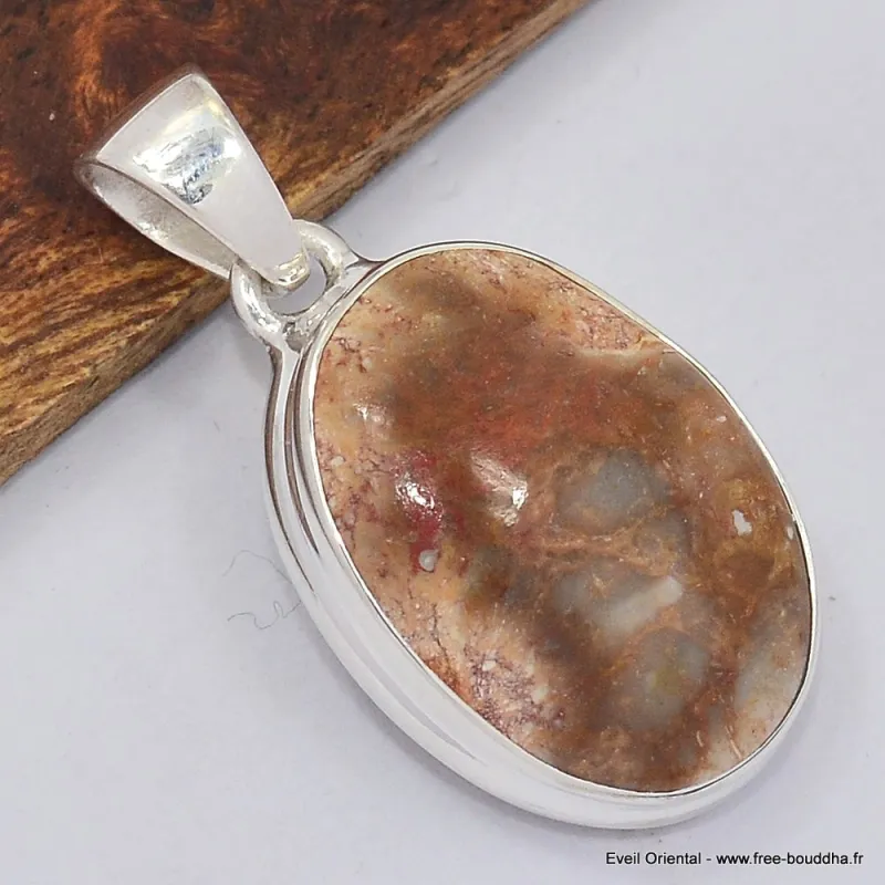 Petit Pendentif en bois pétrifié - Bijoux en Bois pétrifié