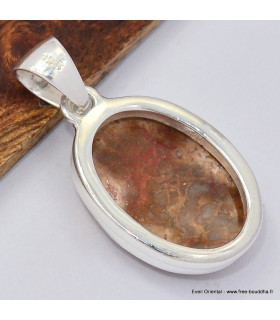 Petit Pendentif en bois pétrifié 