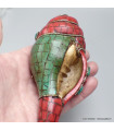 Conque tibétaine conch Om tibétain 