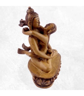 Statue Bouddha Shakti 20 cm Statuettes Bouddhistes SHAKTI21