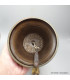 Grosse cloche tibétaine de cérémonie 21 cm bronze cuivre Objets rituels bouddhistes DOVAJ23