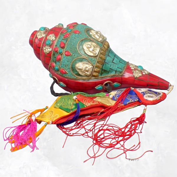 Authentique Conque tibétaine de cérémonie 1,2 kg Objets rituels bouddhistes 4046.24